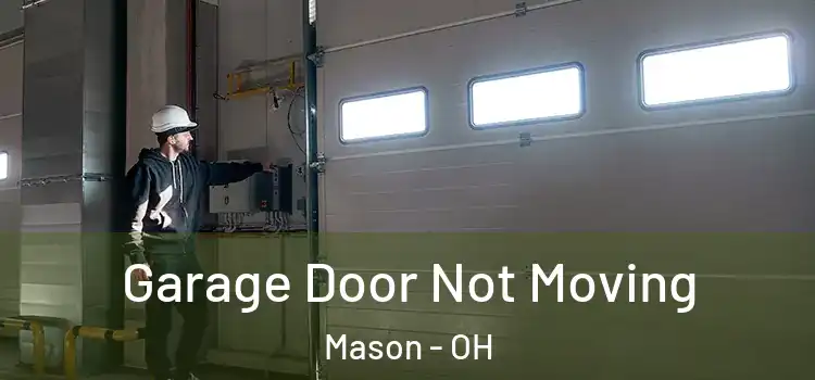  Garage Door Not Moving Mason - OH